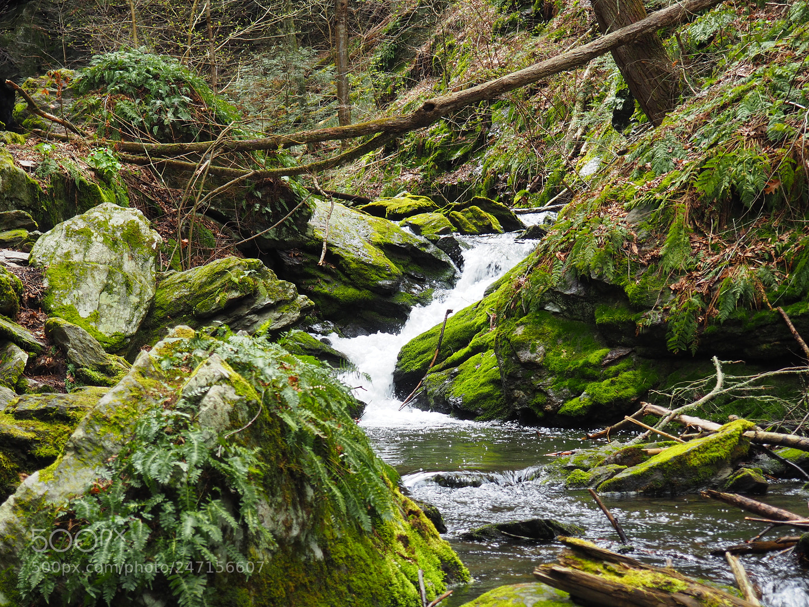 Olympus OM-D E-M10 II sample photo. A stream through rock photography