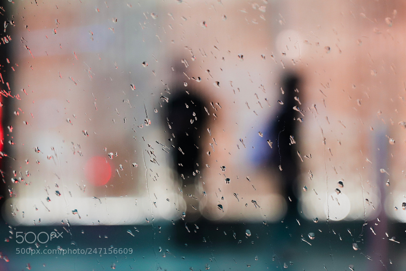 Canon EOS 6D Mark II sample photo. Untitled photography