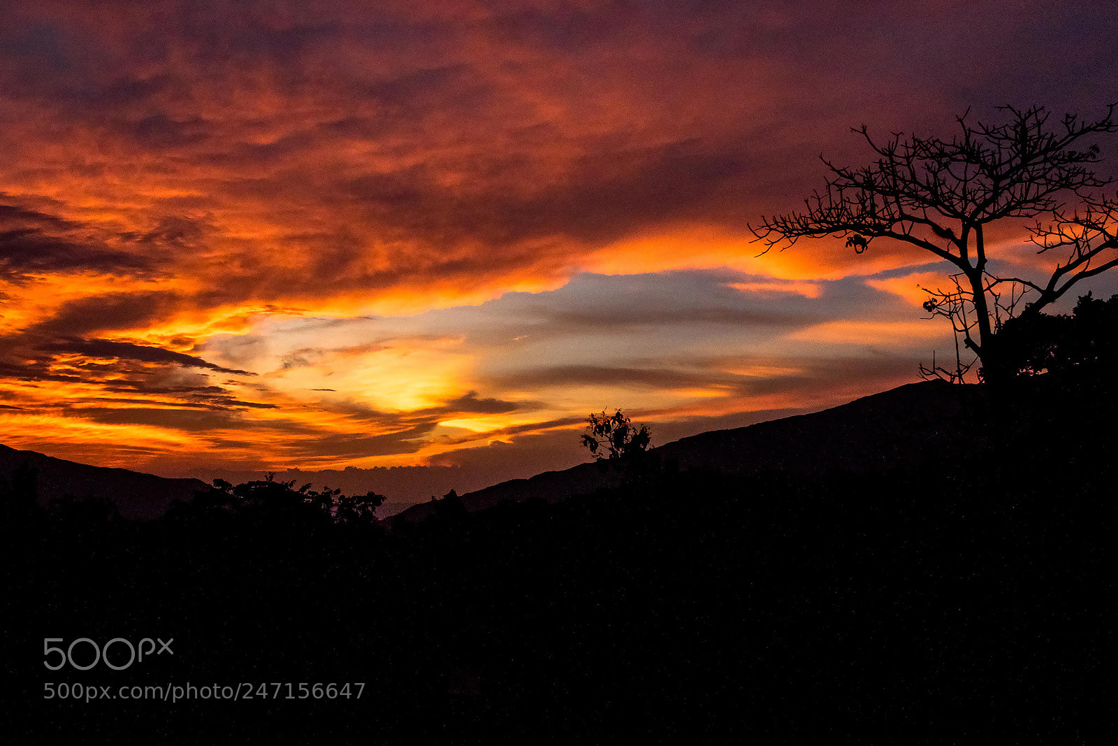 Canon EOS 7D Mark II sample photo. Sunset chinauta photography