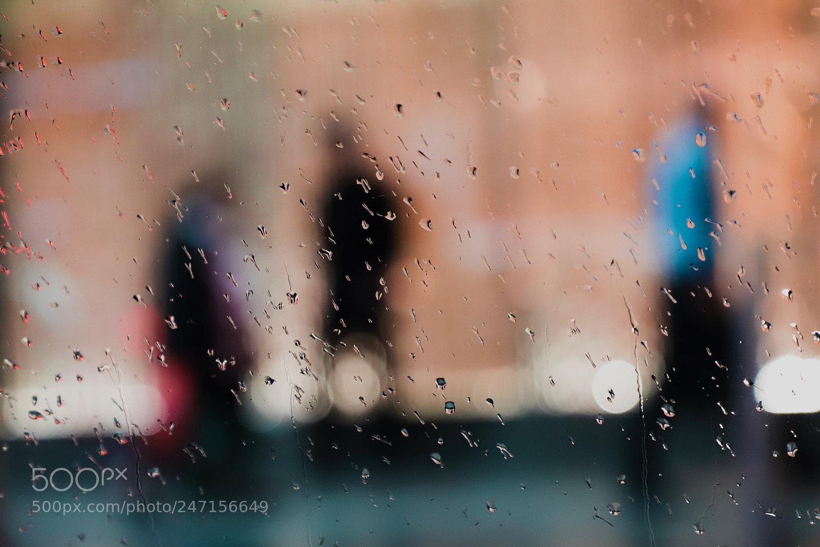 Canon EOS 6D Mark II sample photo. Untitled photography