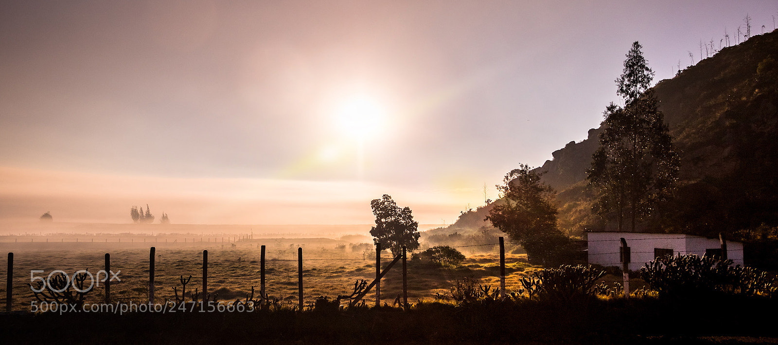 Canon EOS 7D Mark II sample photo. Sunrise photography
