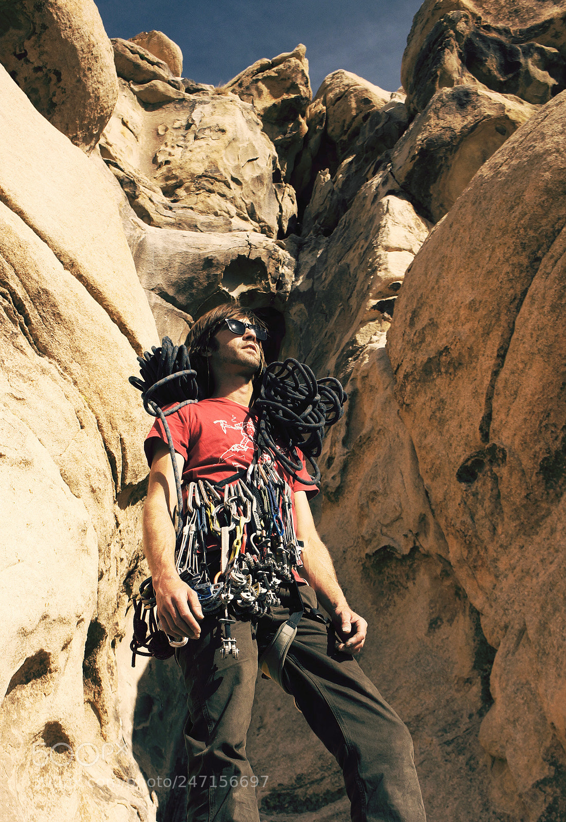Sony Alpha NEX-5N sample photo. Joshua tree - darin photography