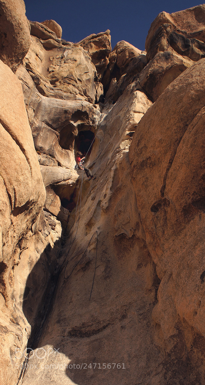 Sony Alpha NEX-5N sample photo. Joshua tree - darin photography