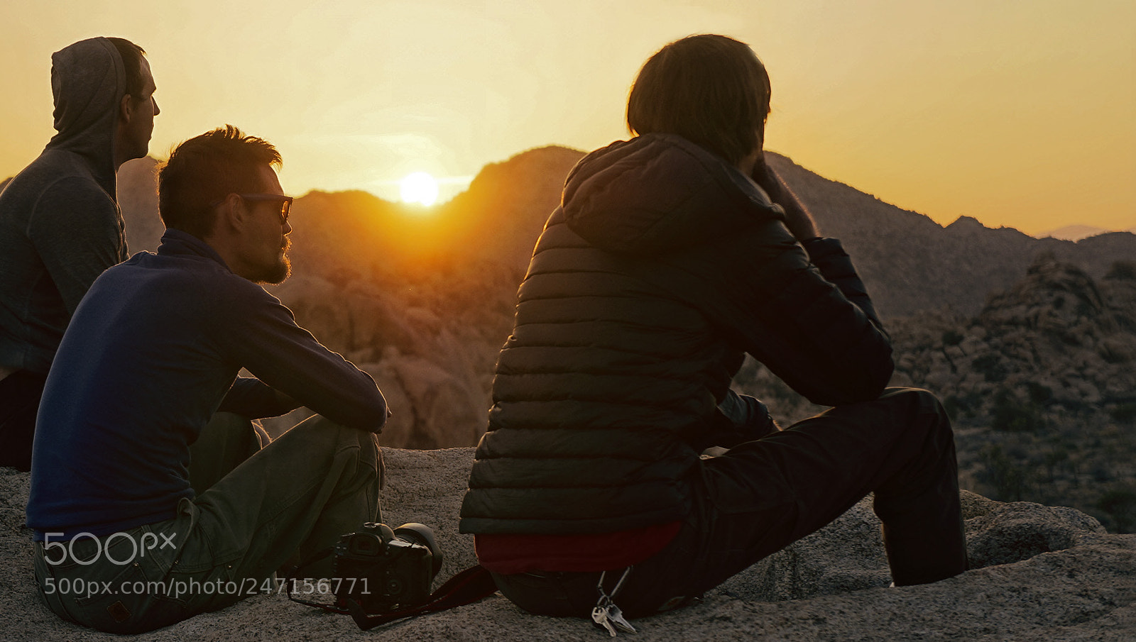 Sony Alpha NEX-5N sample photo. Joshua tree sunset photography