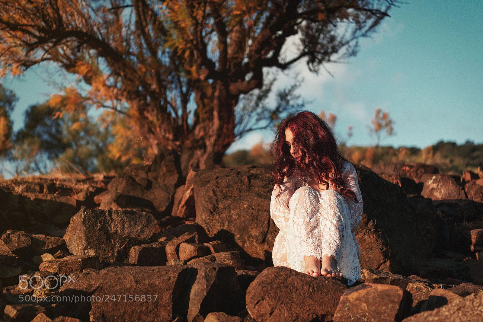 Nikon D800E sample photo. Untitled photography