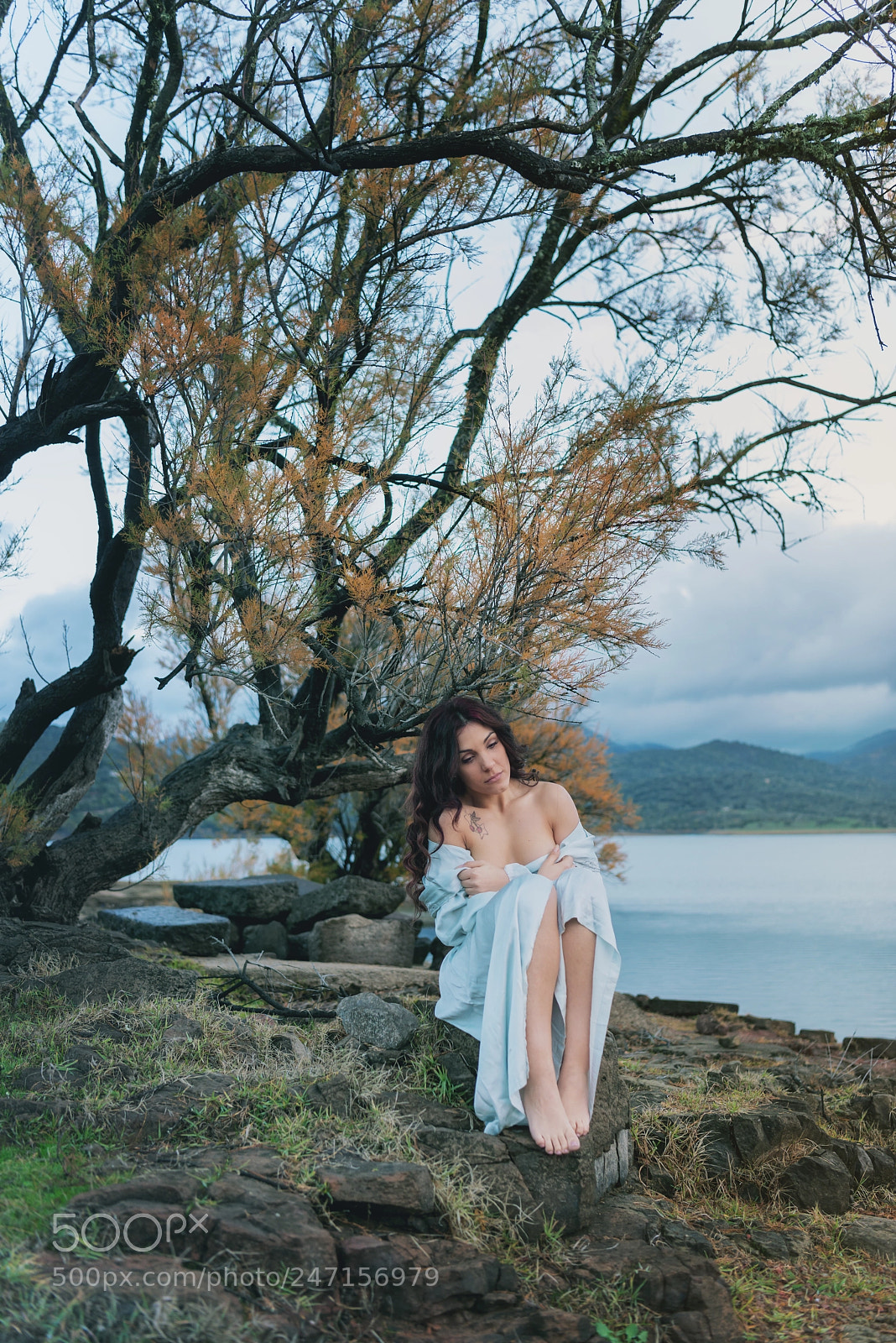 Nikon D800E sample photo. Untitled photography