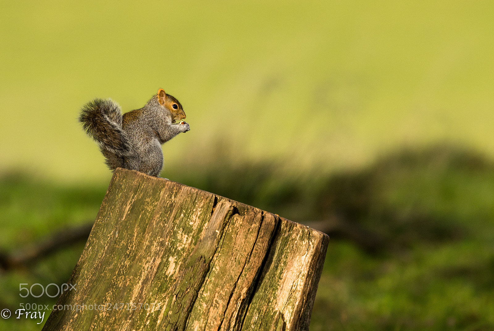 Canon EOS 7D Mark II sample photo. Table for one photography