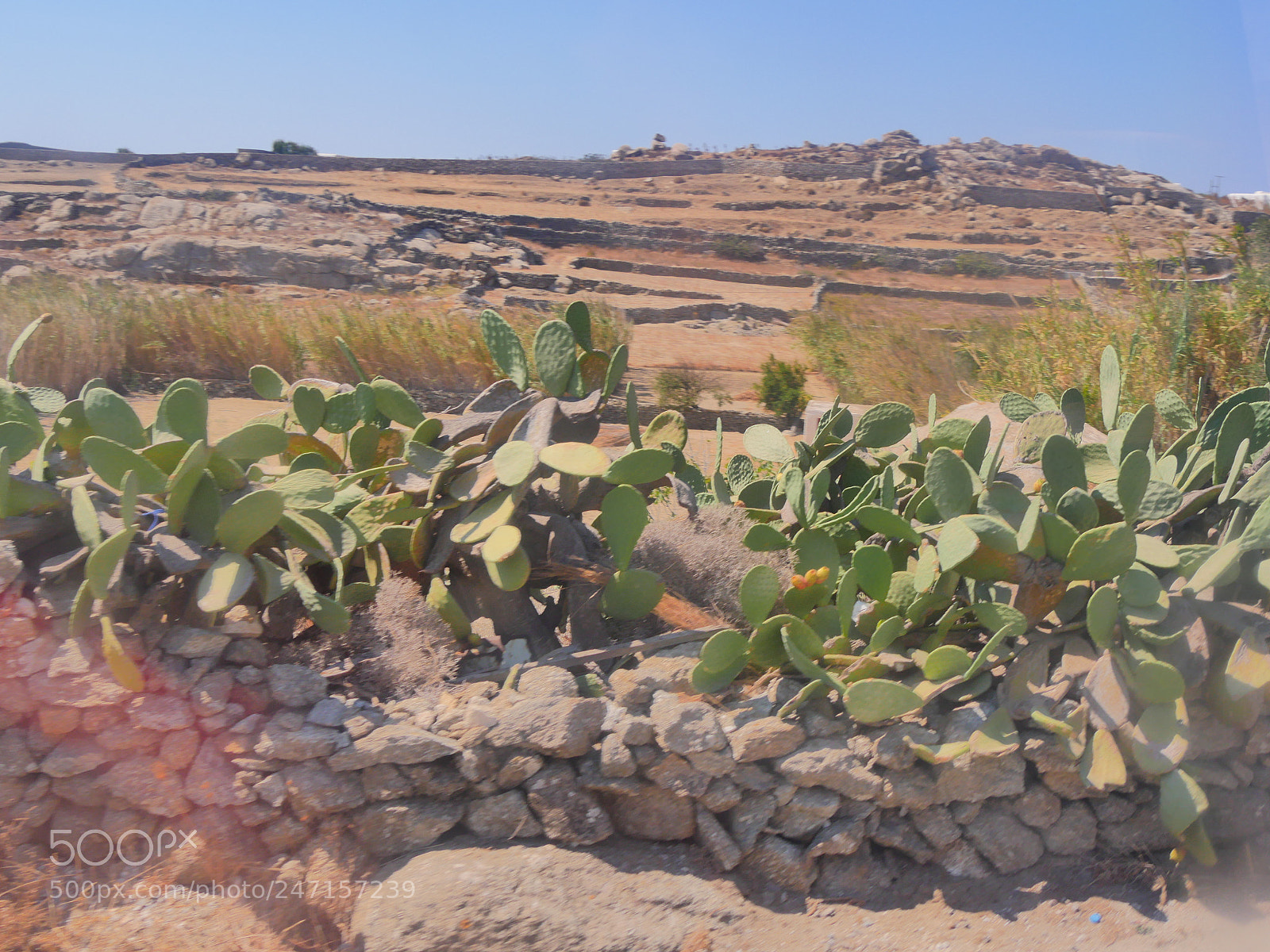 Panasonic Lumix DMC-GX8 sample photo. Mykonos photography