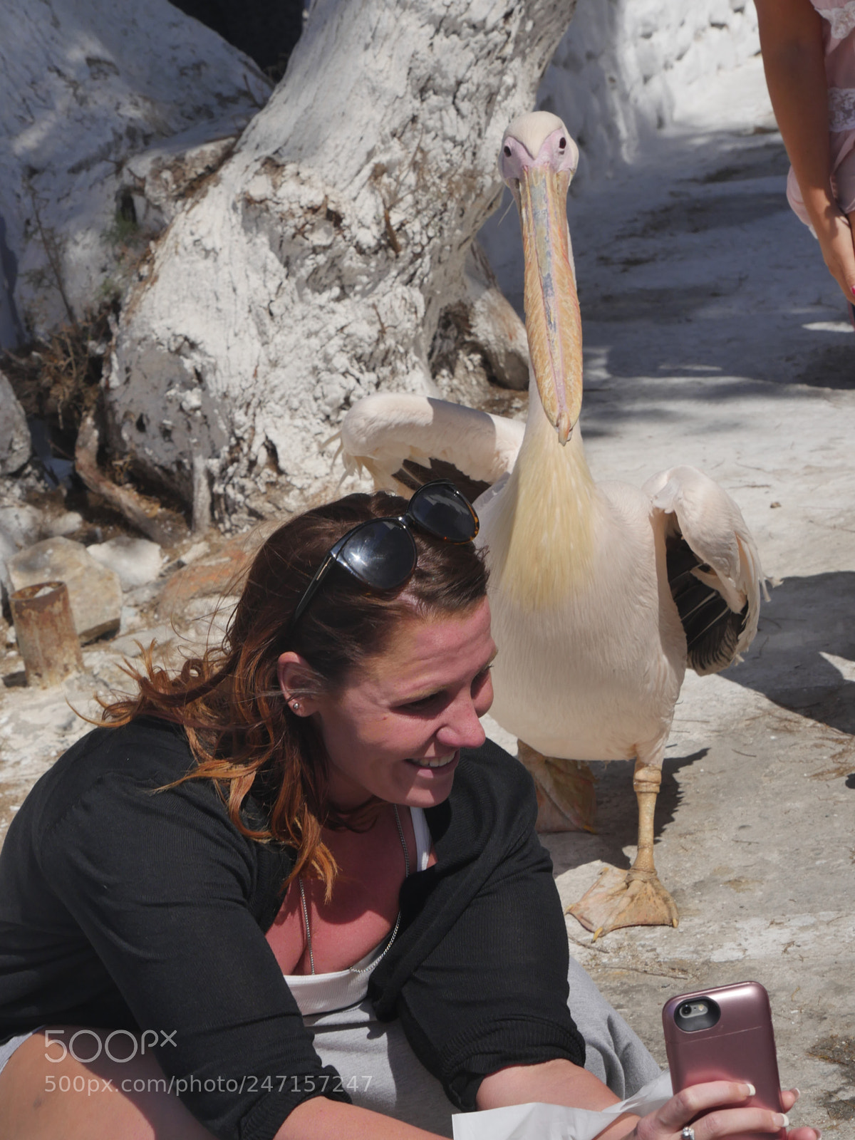 Panasonic Lumix DMC-GX8 sample photo. Mykonos photography