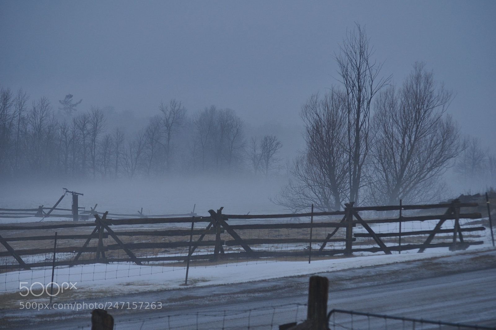 Nikon D5000 sample photo. The fence photography