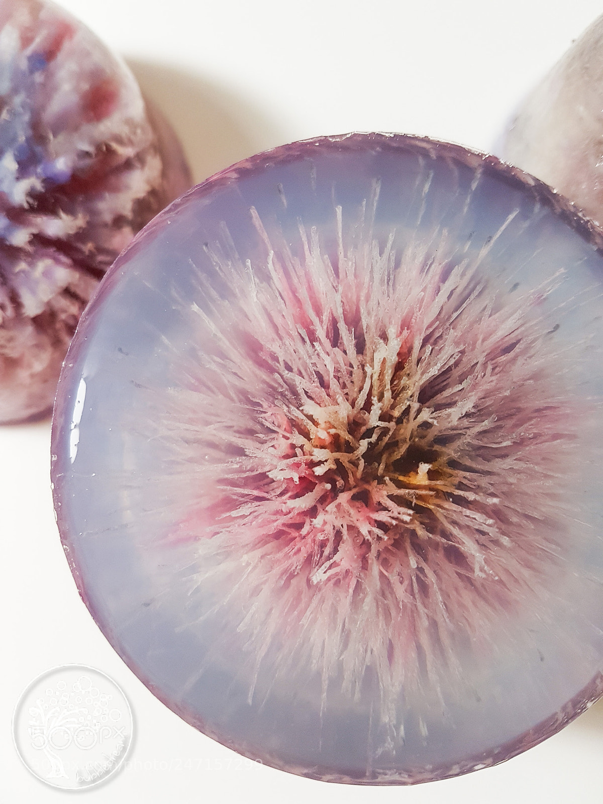 Samsung Galaxy S7 Edge sample photo. Sea urchin jelly soap photography