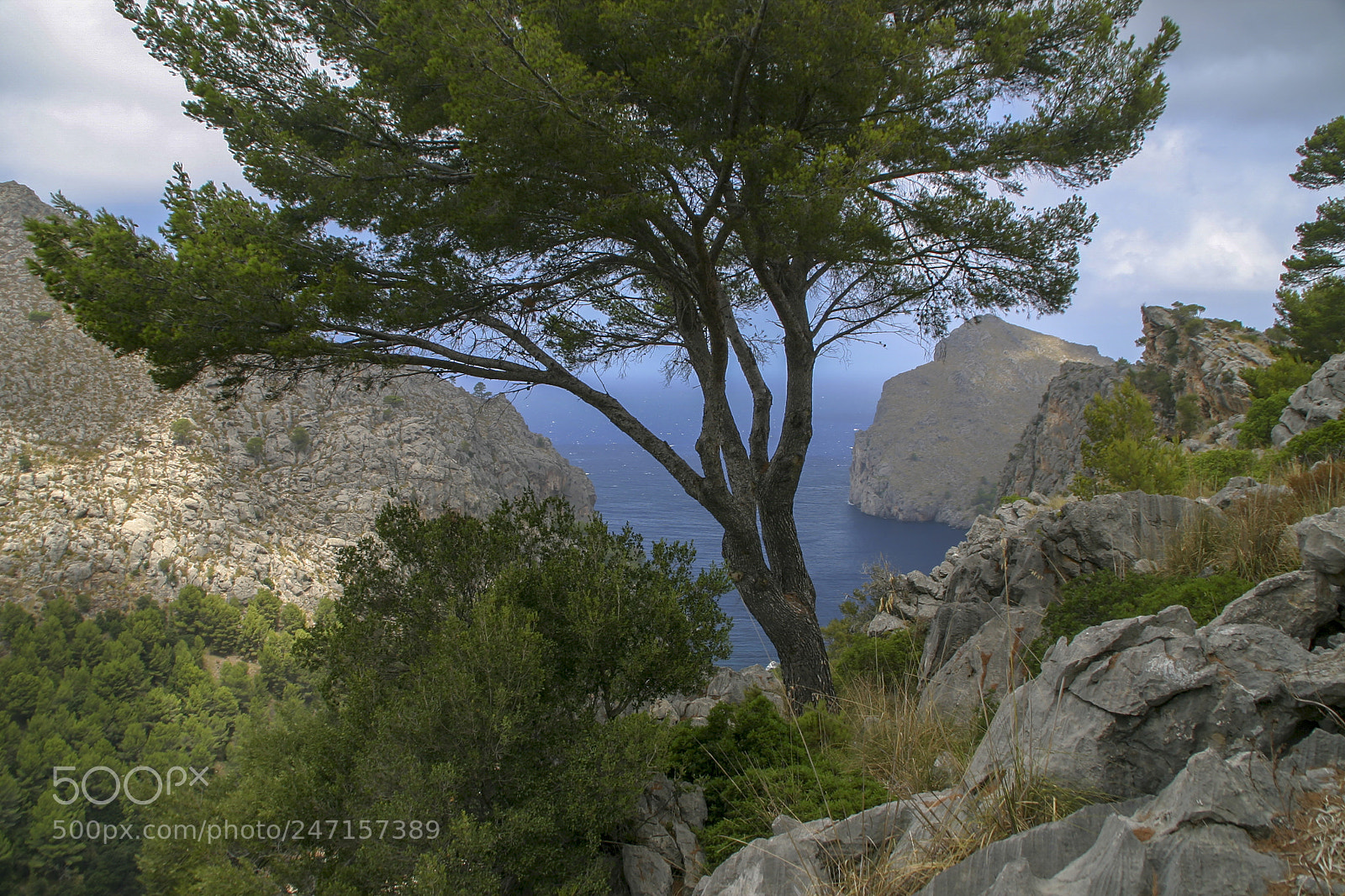 Canon EOS 10D sample photo. Sierra tramontana photography