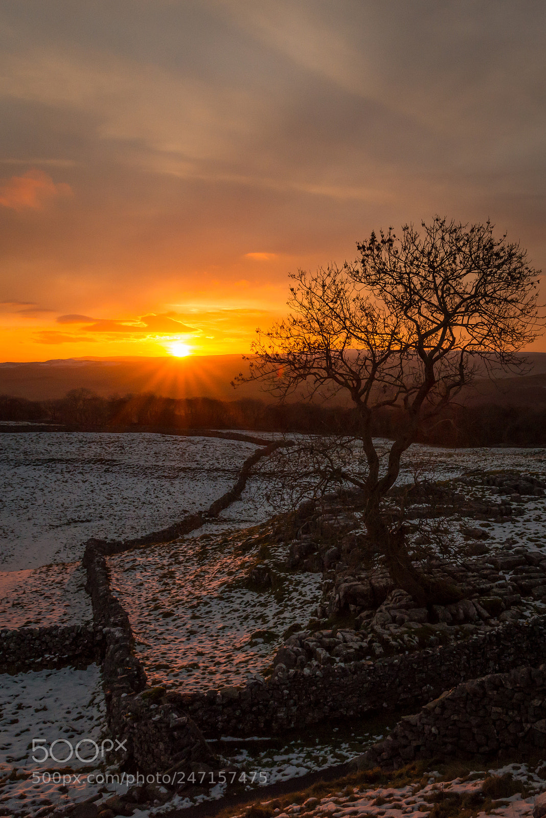 Nikon D800 sample photo. A snowy sunset in photography