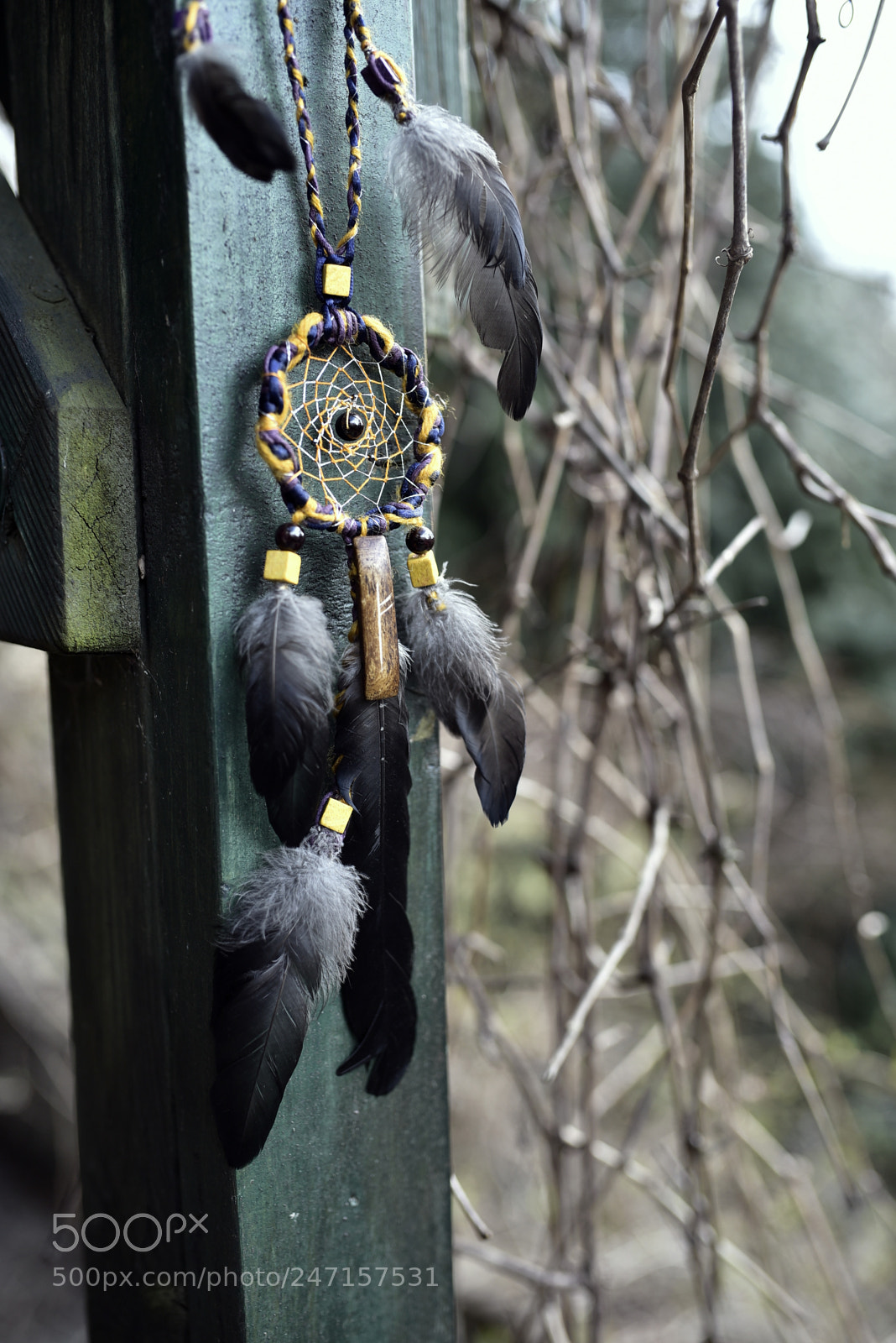 Nikon D750 + Sigma 35mm F1.4 DG HSM Art sample photo. Dsc photography