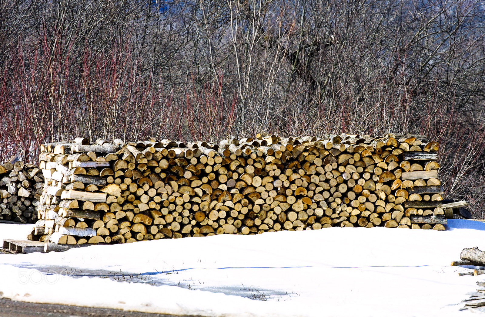 Canon EOS D30 sample photo. Wood cord in winter photography