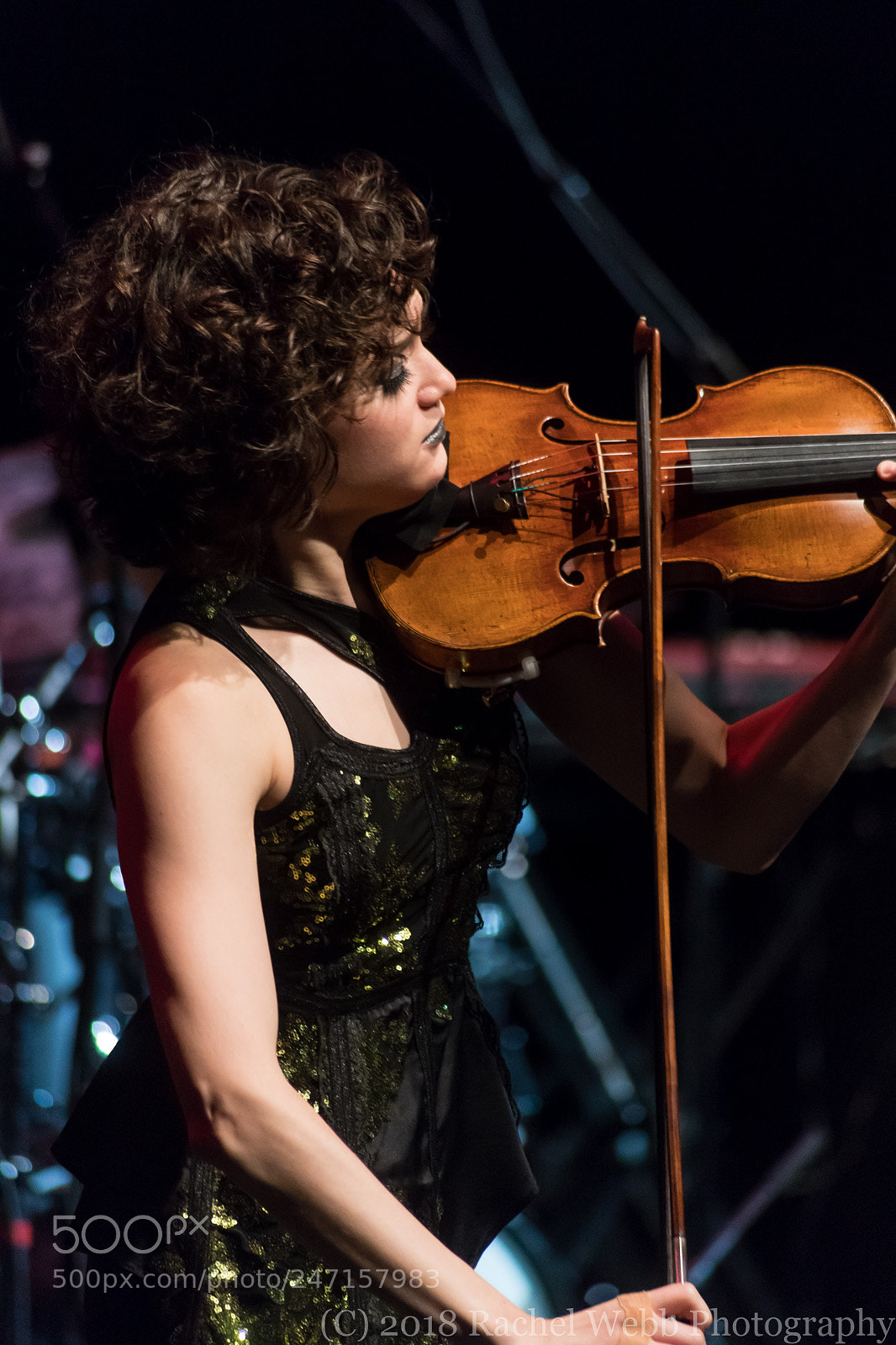 Canon EOS 6D Mark II sample photo. Violin colour photography