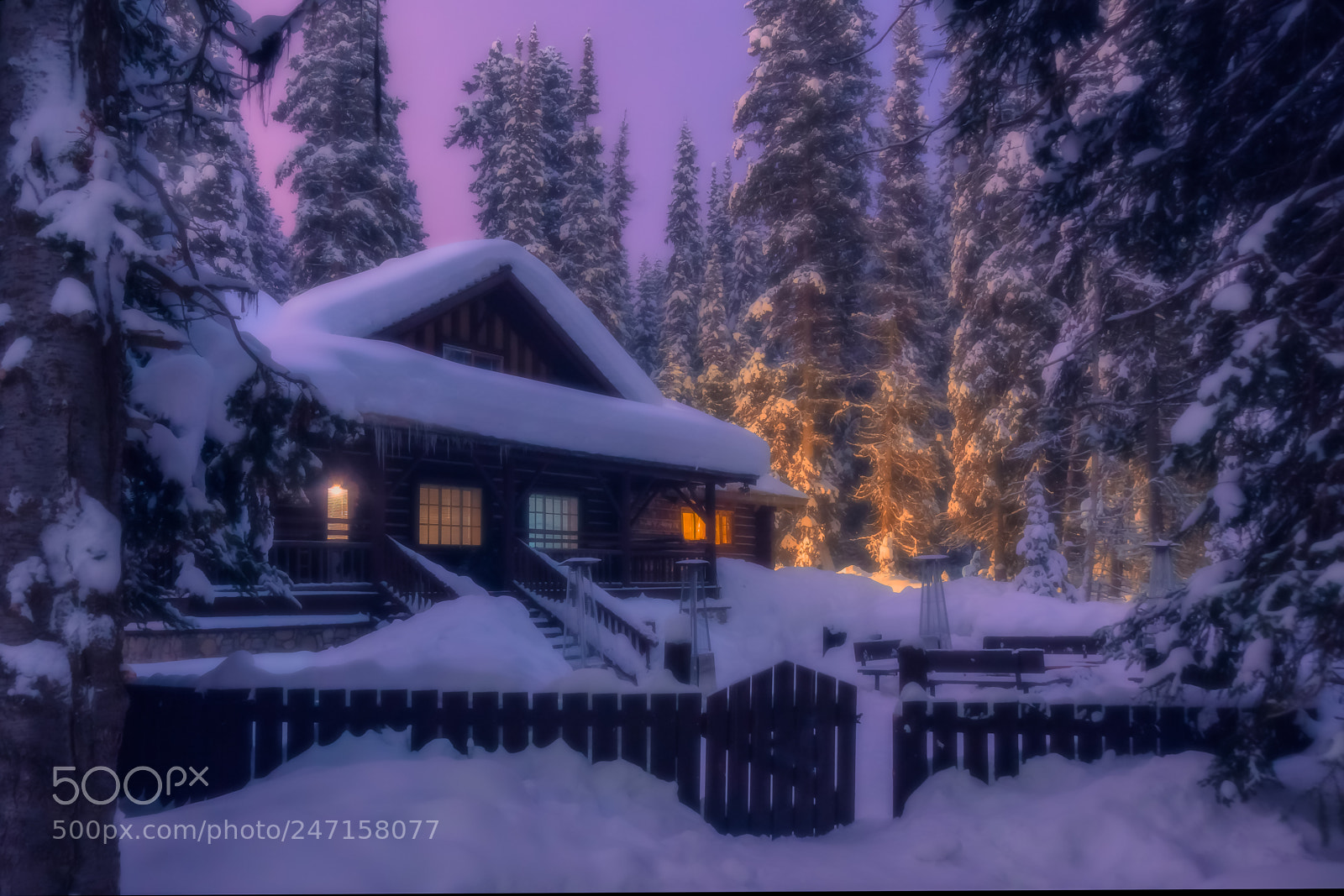 Sony SLT-A77 sample photo. Winter night photography