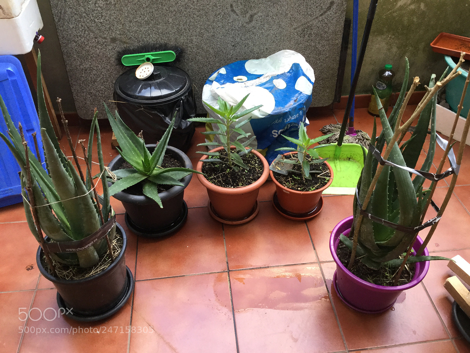 Apple iPad Air 2 sample photo. Untitled photography