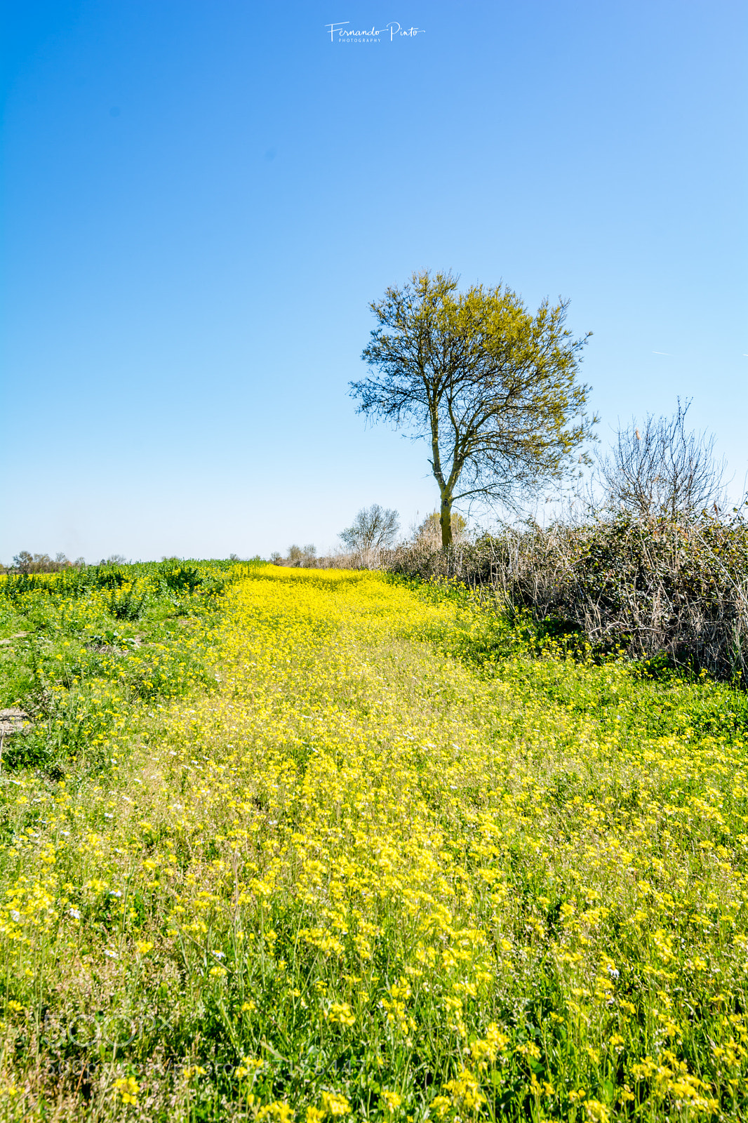 Nikon D7100 sample photo. Natur photography