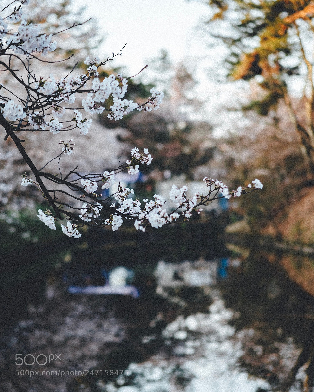 Fujifilm X-T2 sample photo. Can't wait to see photography