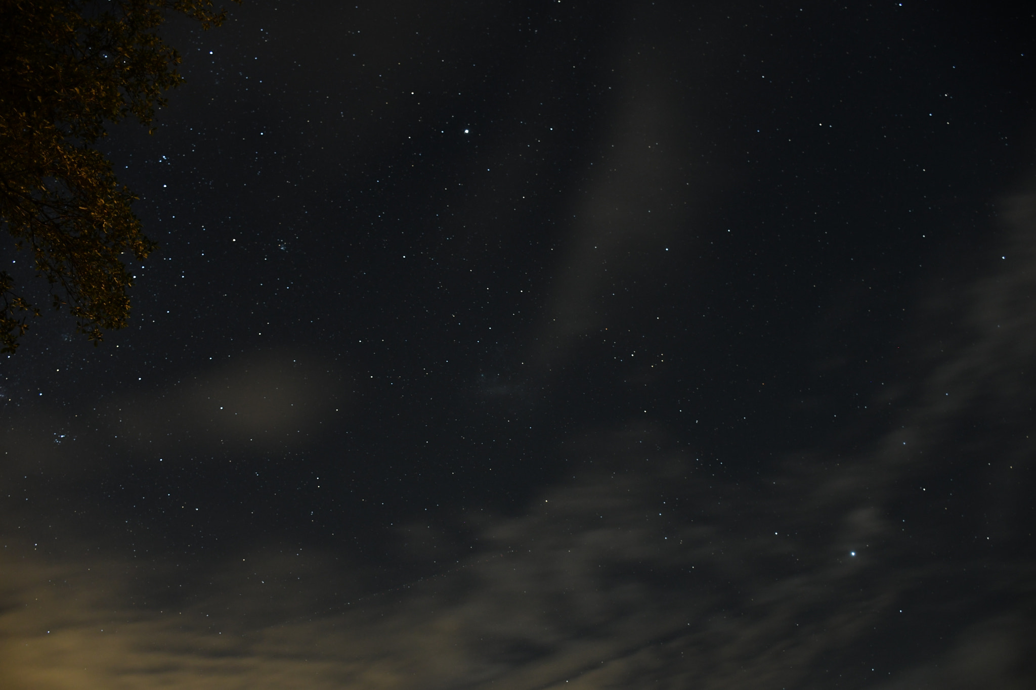 Nikon D7500 sample photo. Nights at home photography