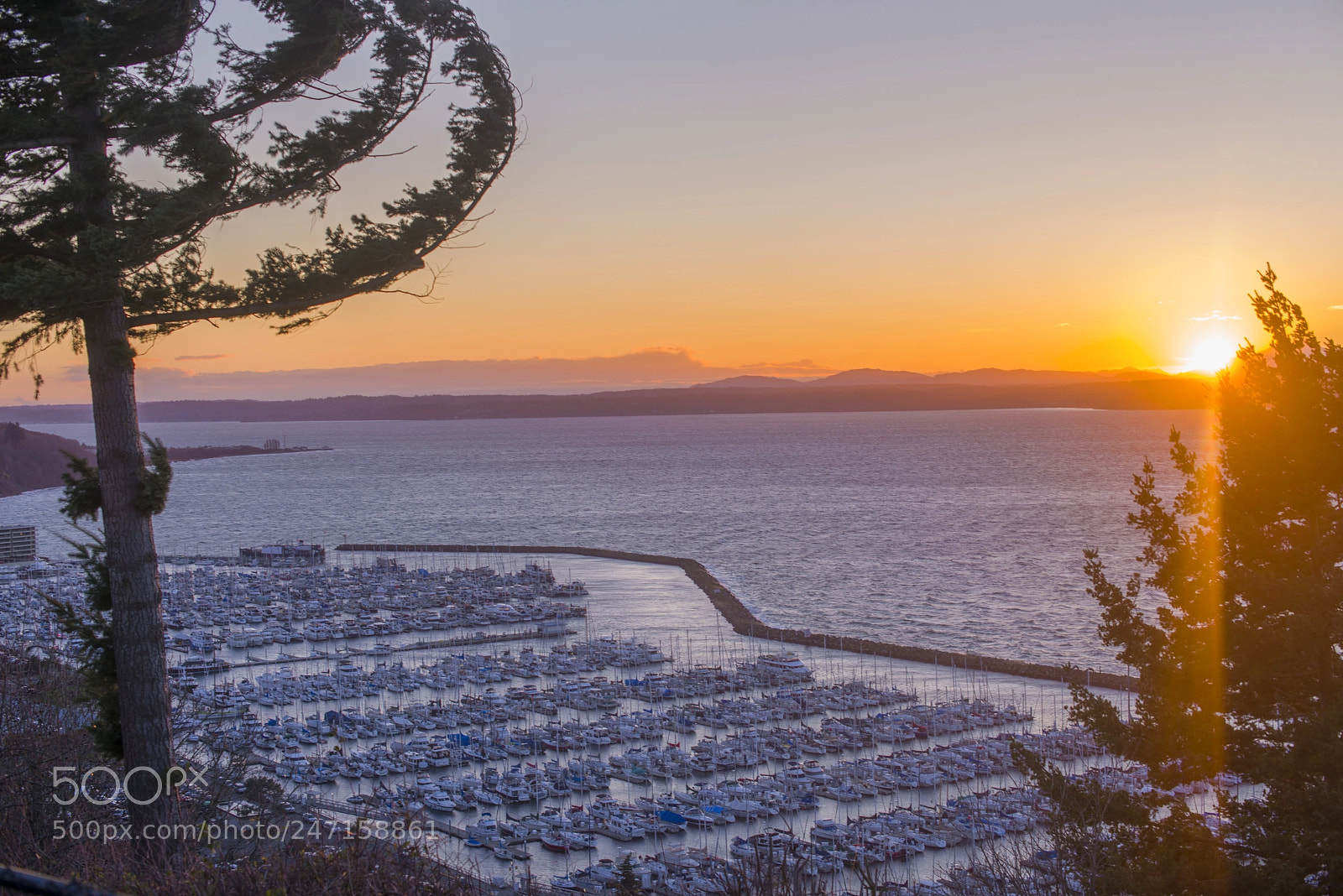 Nikon D800 sample photo. Sunset hill park photography