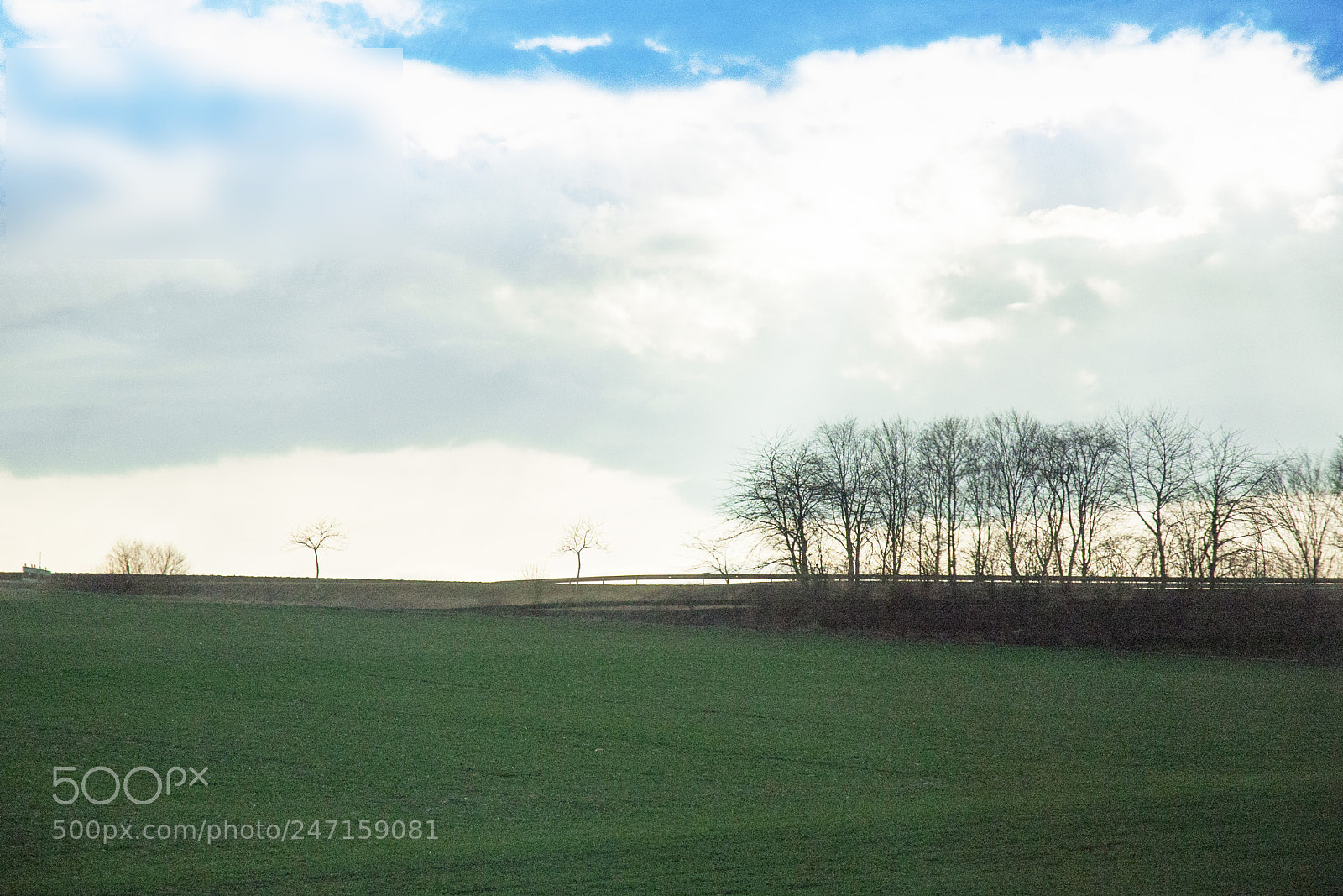 Nikon D70 sample photo. Germany photography