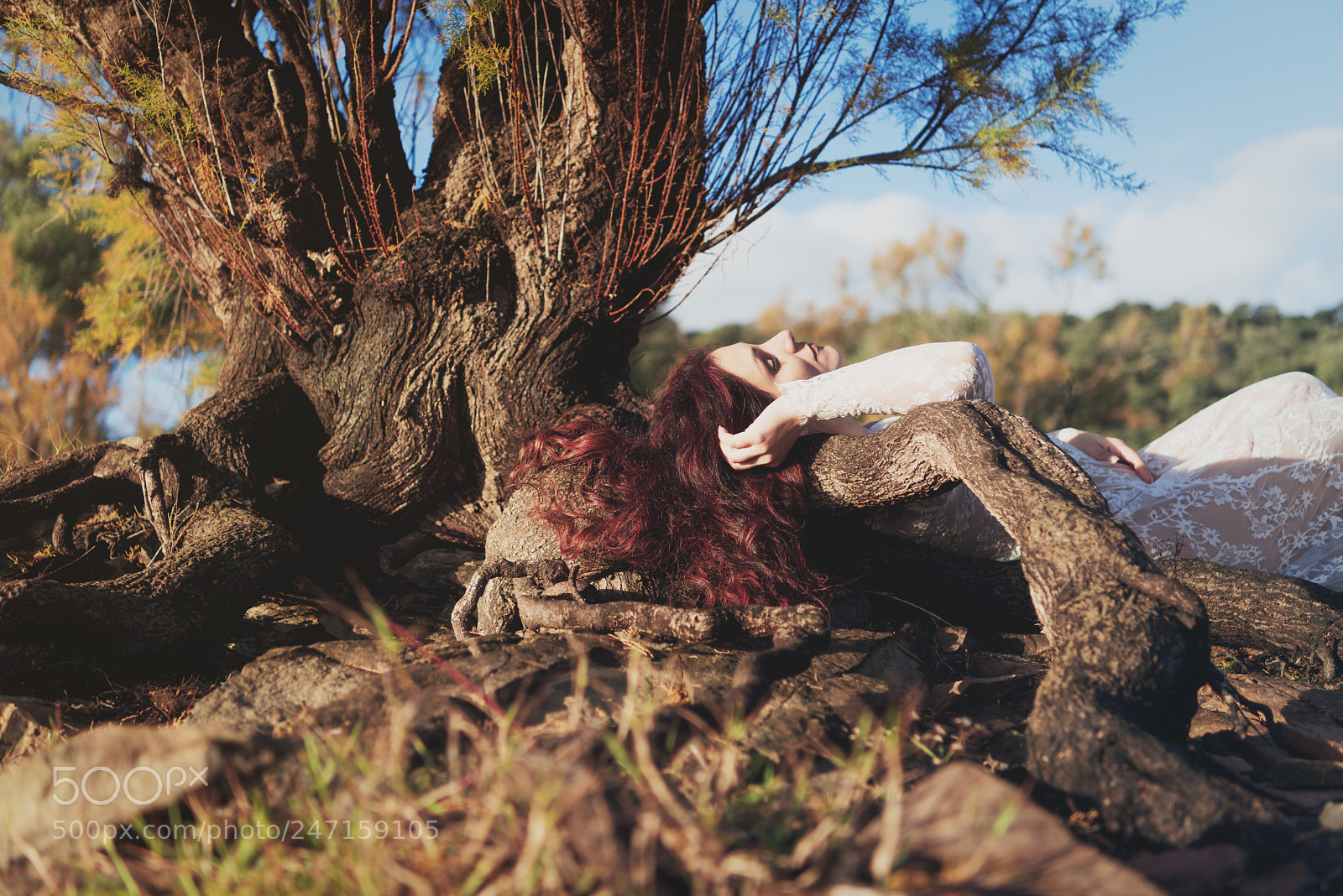 Nikon D800E sample photo. Untitled photography