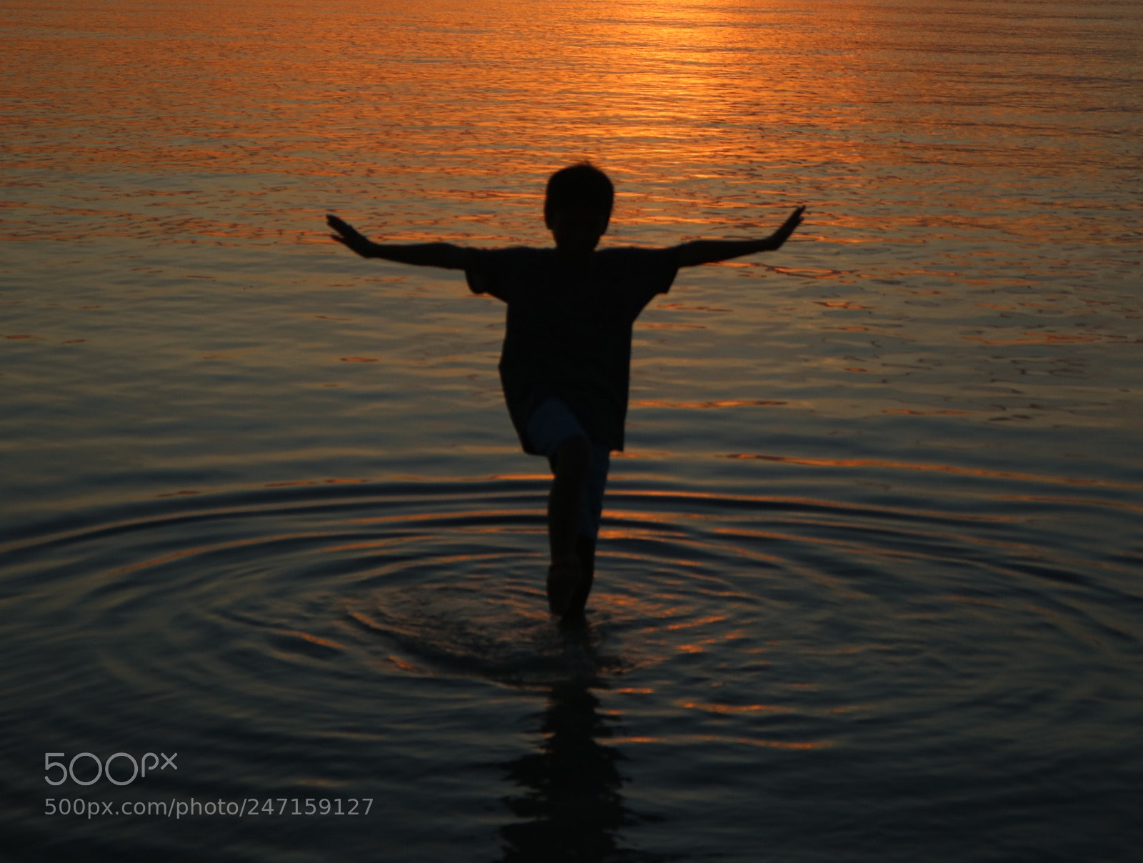 Canon EOS 750D (EOS Rebel T6i / EOS Kiss X8i) sample photo. Untitled photography