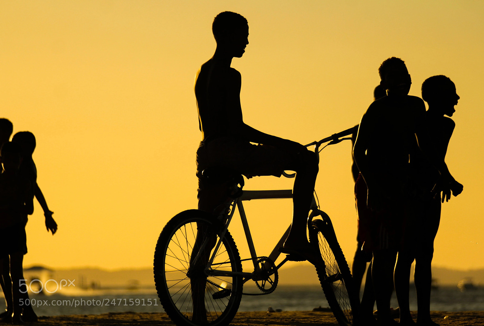 Canon EOS 60D sample photo. Untitled photography