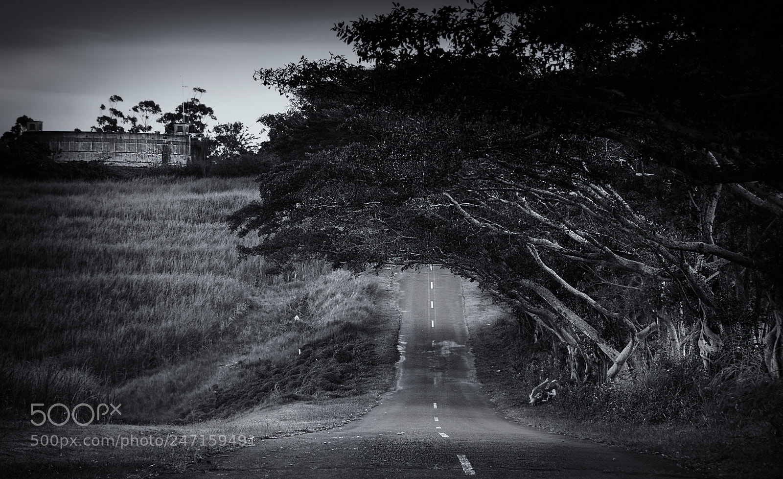 Nikon D610 sample photo. Old st faiths road photography