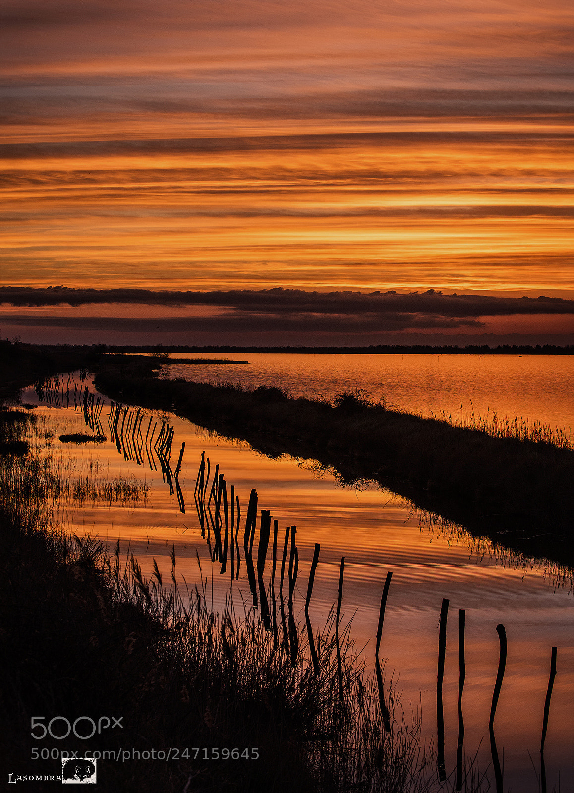 Nikon D810 sample photo. Port levante photography