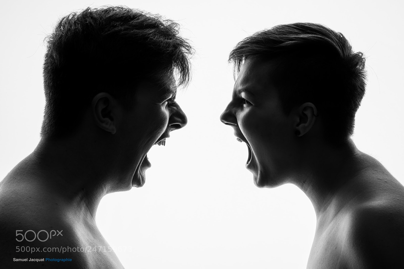 Nikon D850 sample photo. The lovers' cry ... photography