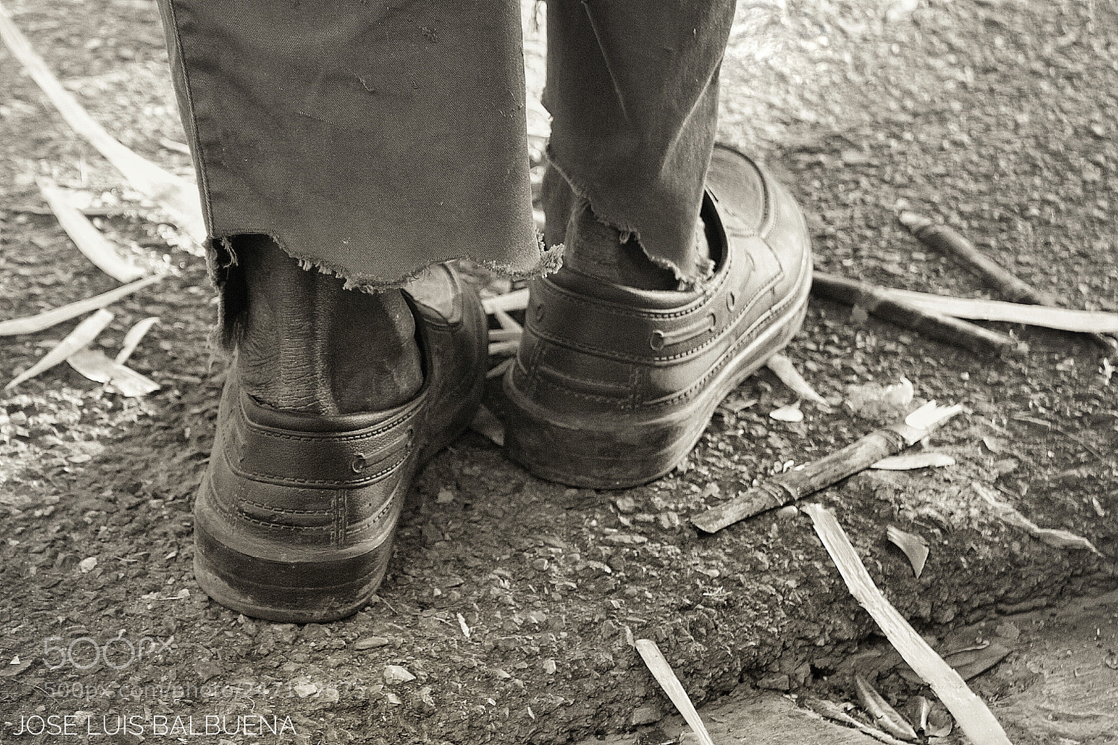 Canon EOS 500D (EOS Rebel T1i / EOS Kiss X3) sample photo. Work hard photography
