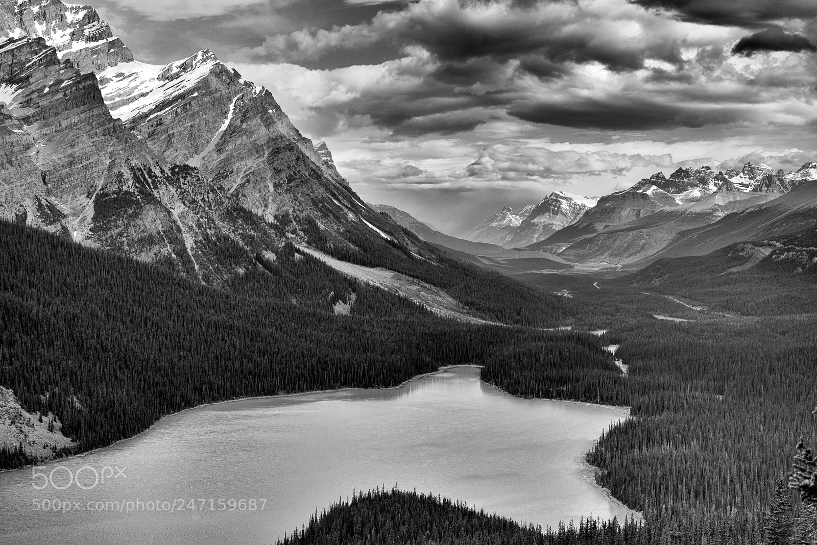 Nikon D610 sample photo. Payto lake, banff, alberta photography