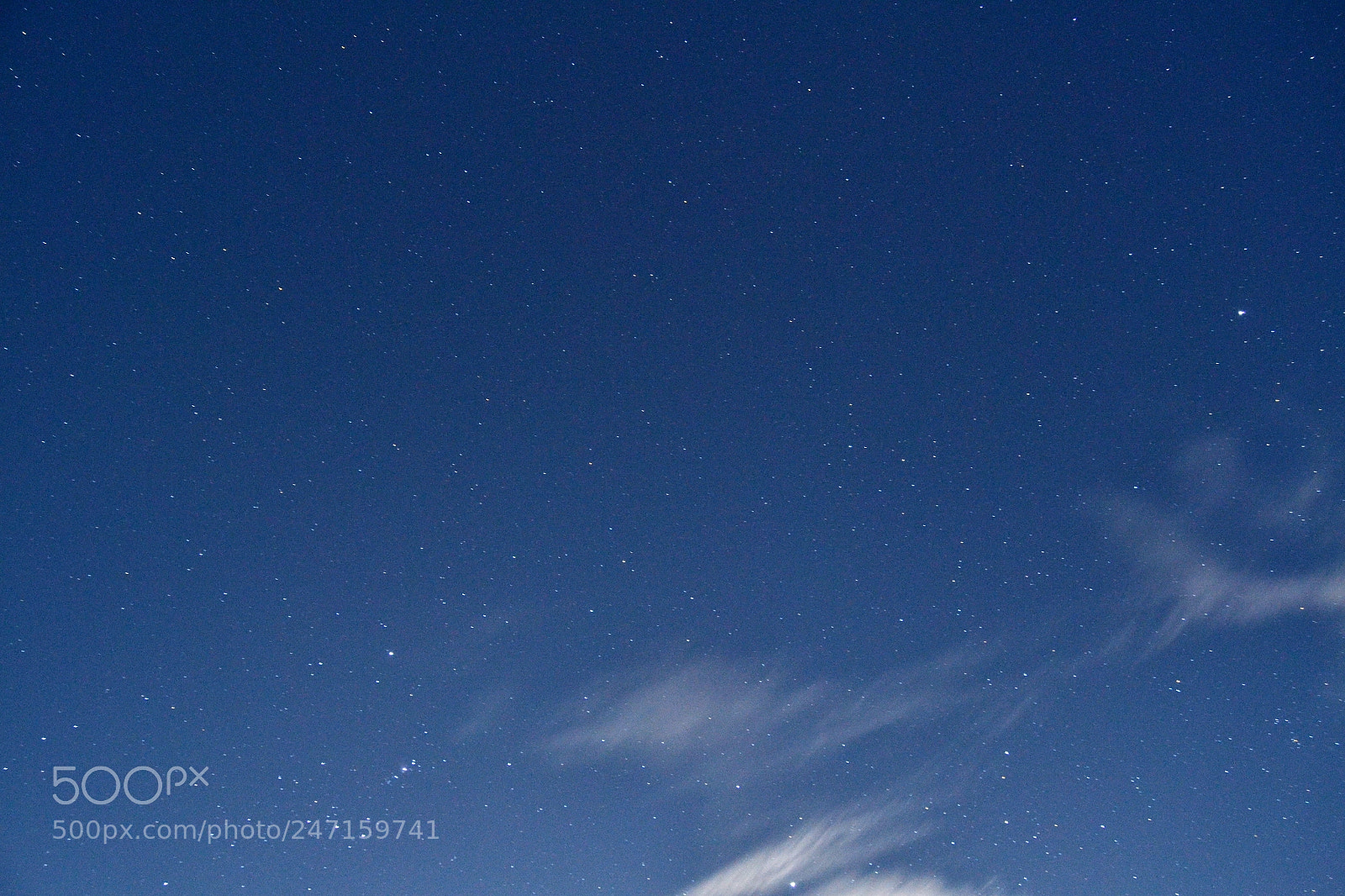 Nikon D3100 sample photo. 24626917222.jpg photography