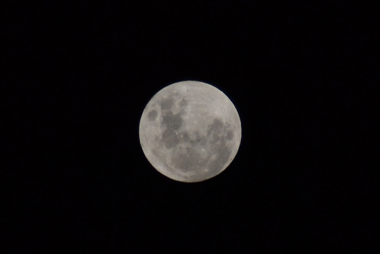 Nikon D3100 sample photo. 24116666084.jpg photography