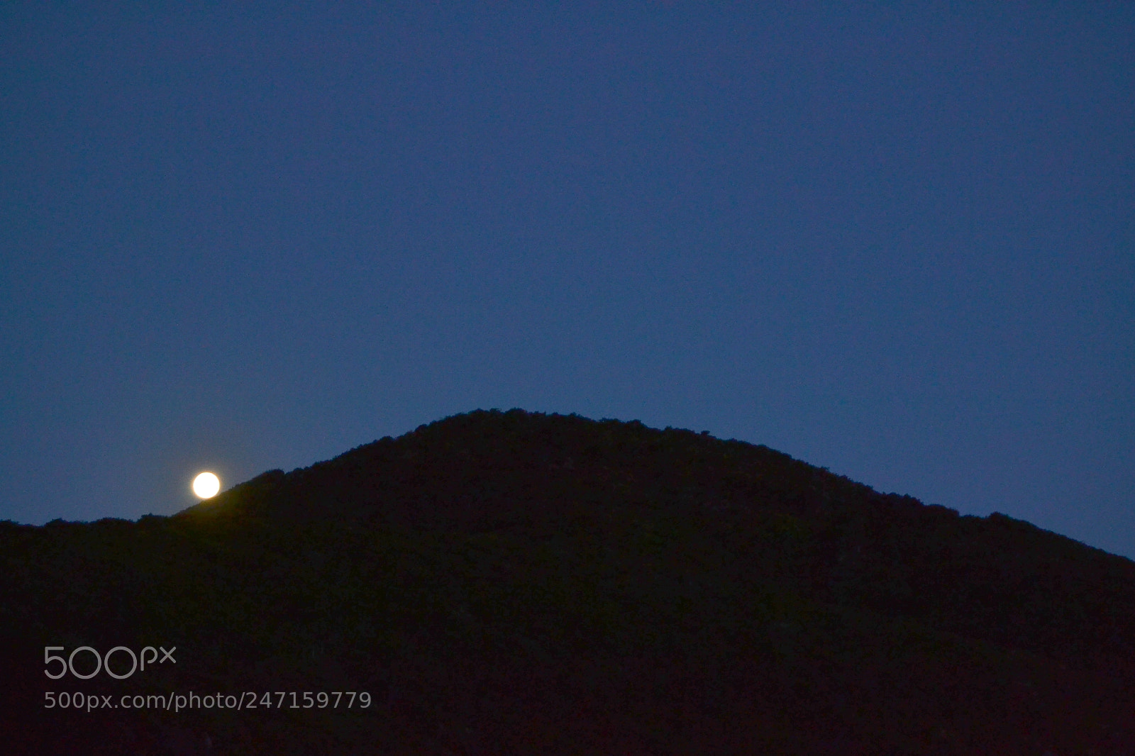 Nikon D3100 sample photo. 24118004113.jpg photography