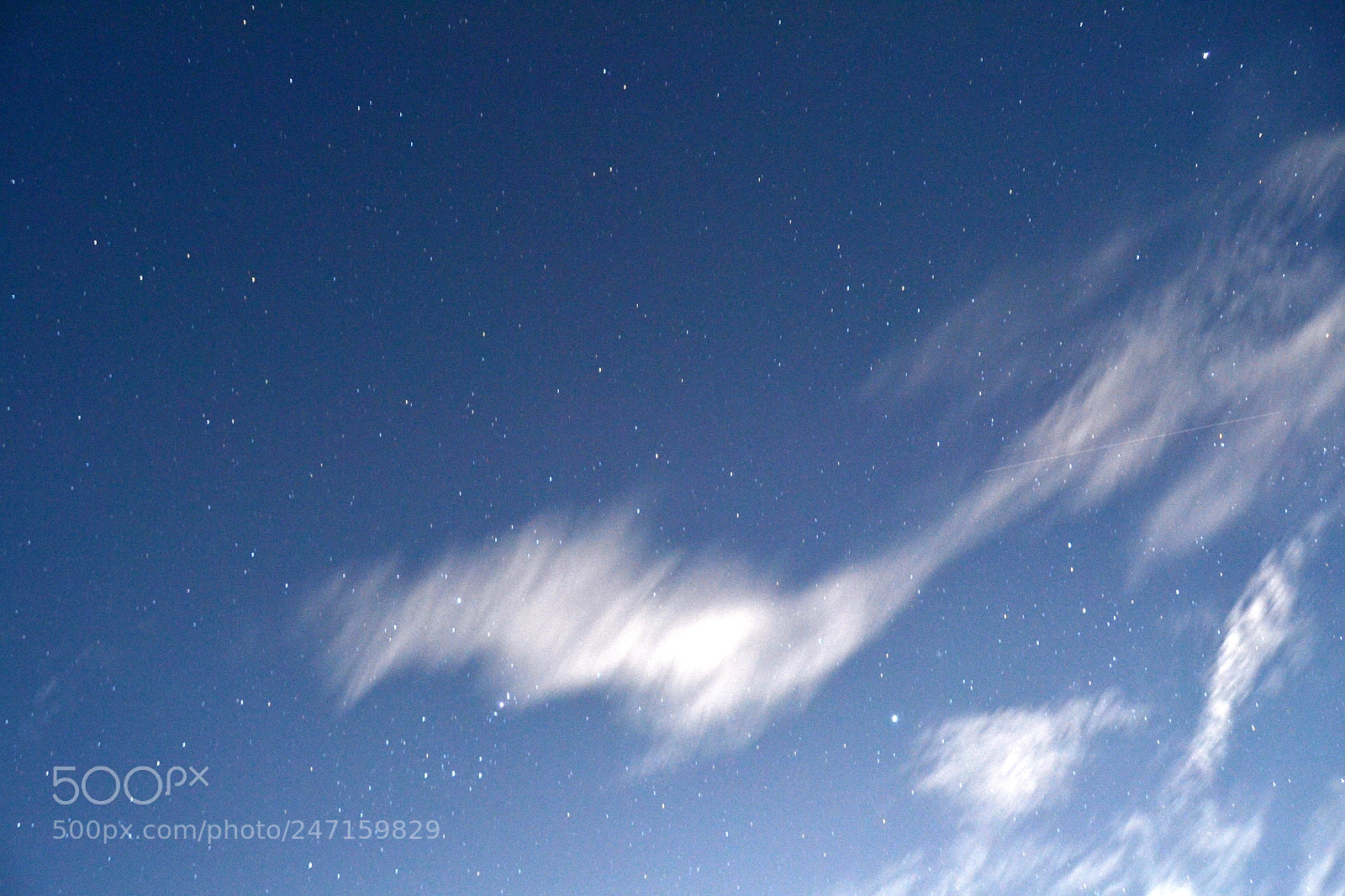 Nikon D3100 sample photo. 24116563854.jpg photography