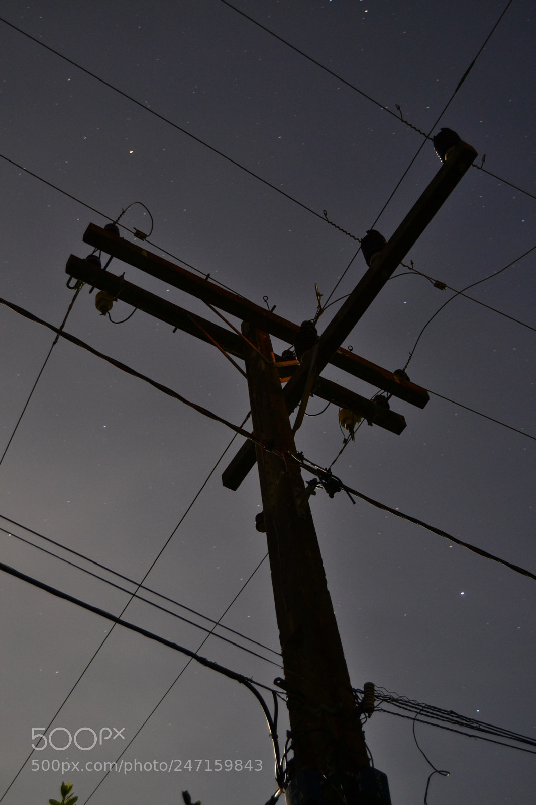 Nikon D3100 sample photo. 24377287809.jpg photography