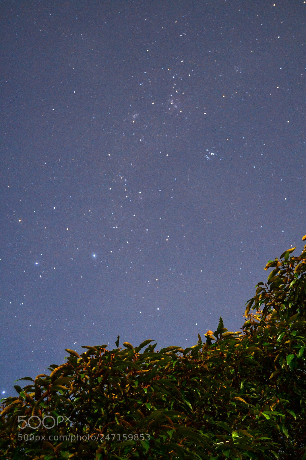 Nikon D3100 sample photo. 24116787134.jpg photography