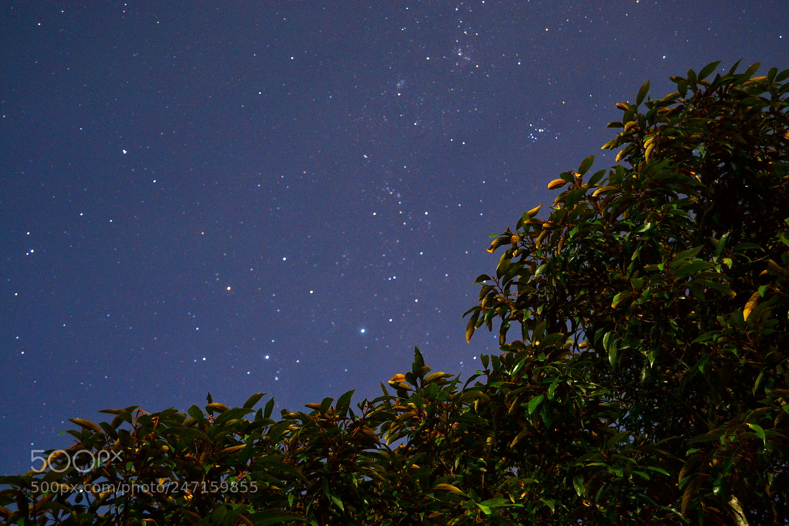 Nikon D3100 sample photo. 24627170762.jpg photography
