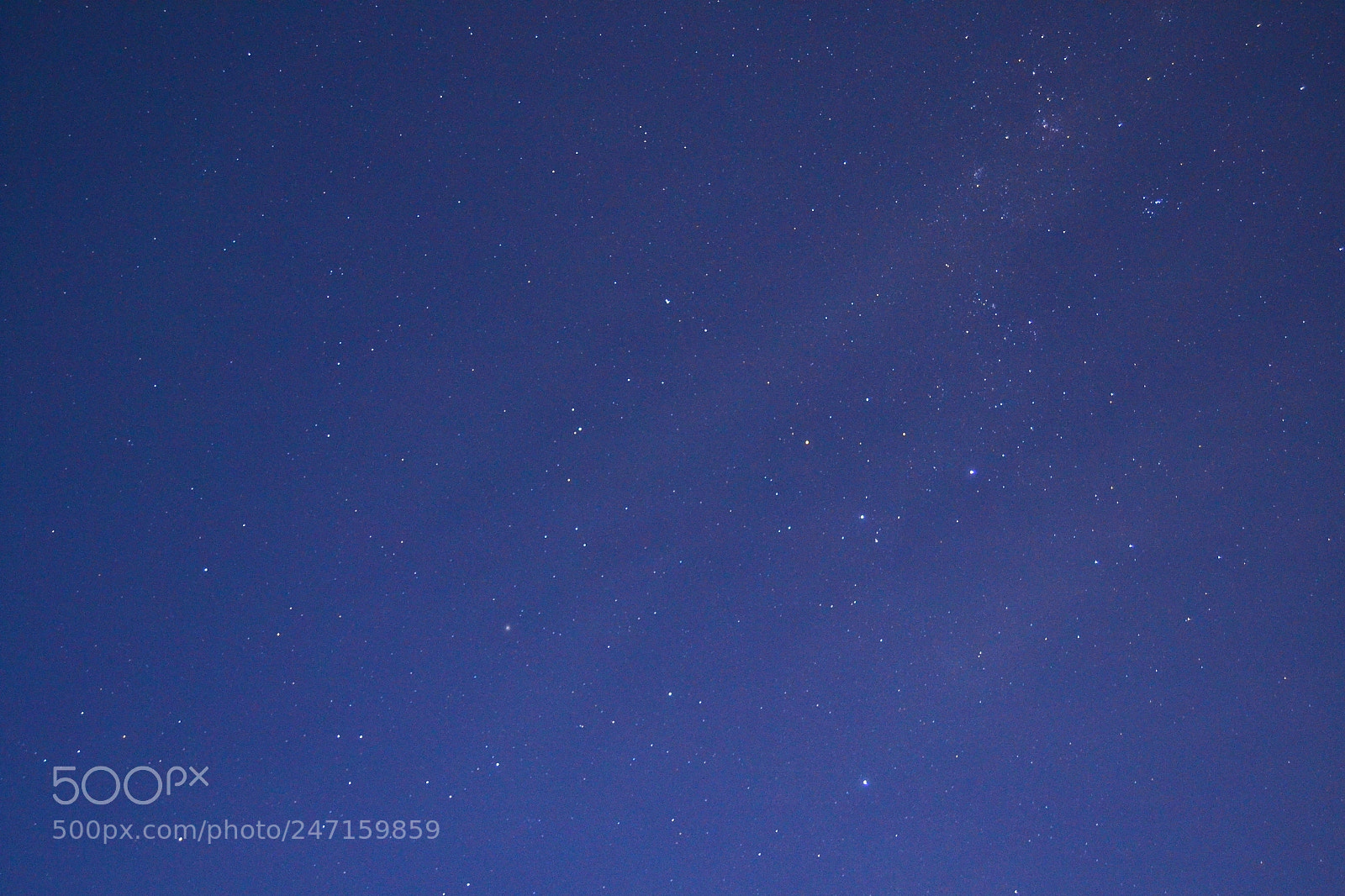 Nikon D3100 sample photo. 24745010285.jpg photography