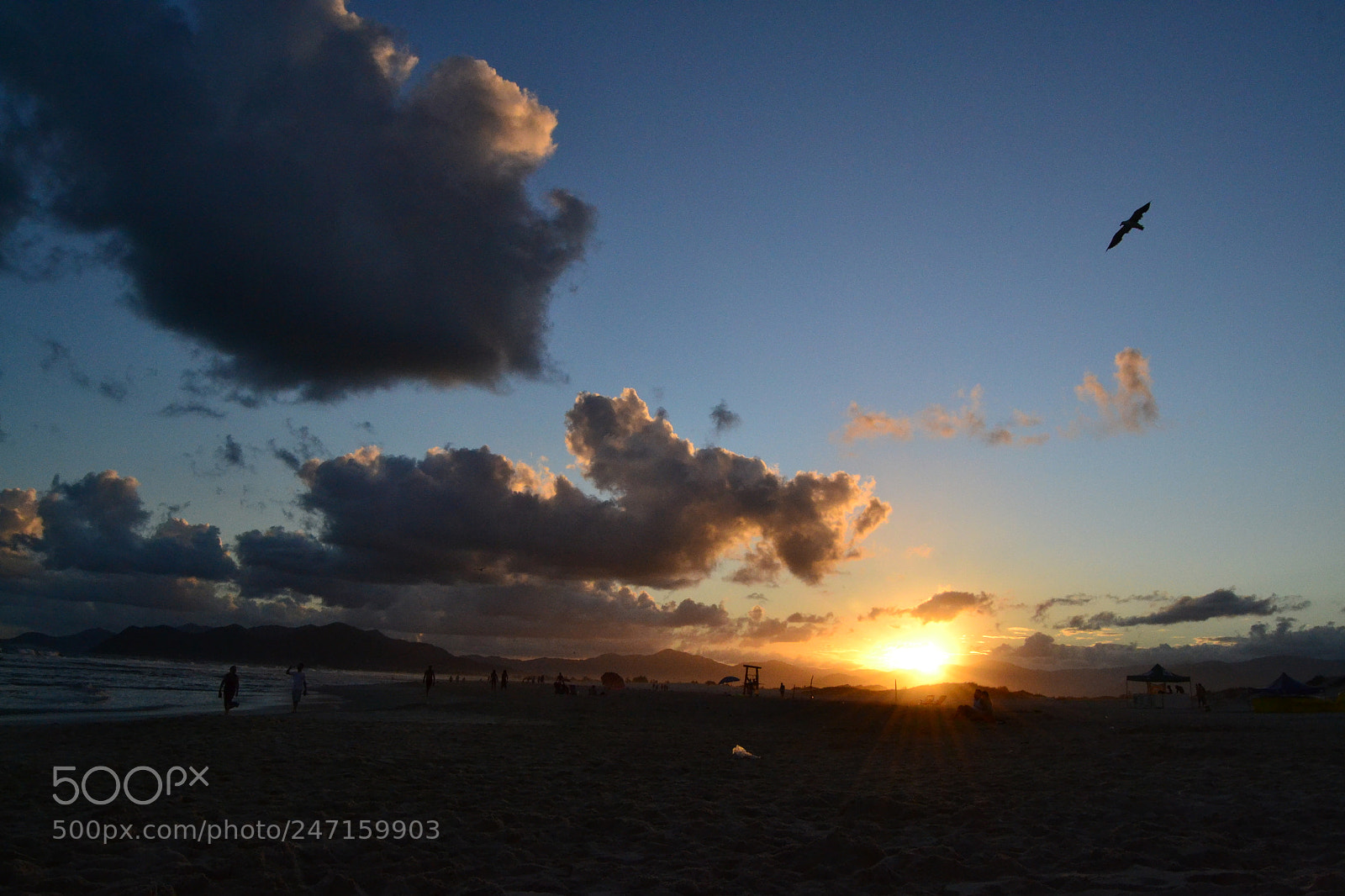 Nikon D3100 sample photo. 24377402849.jpg photography