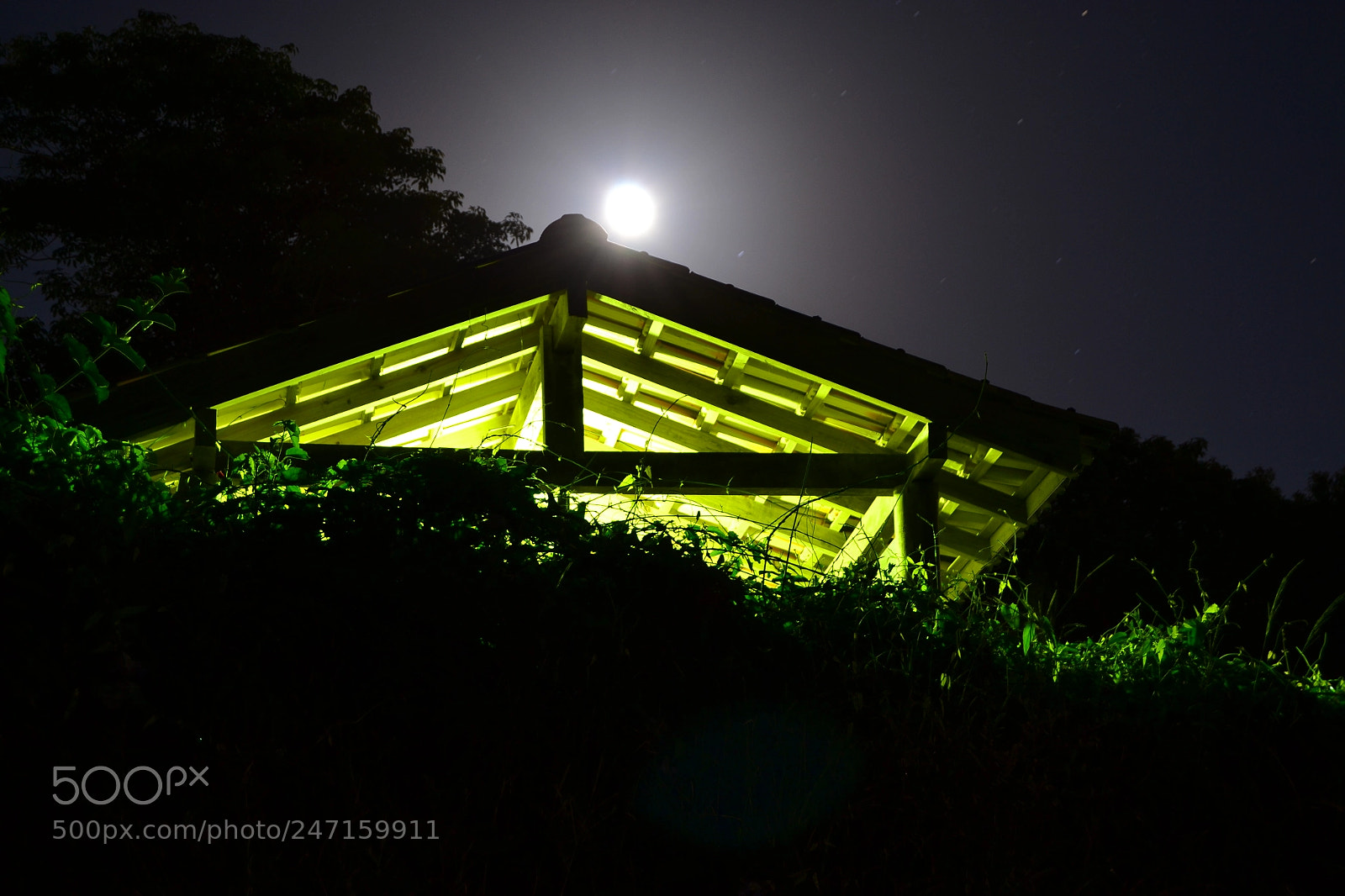 Nikon D3100 sample photo. 24718867986.jpg photography