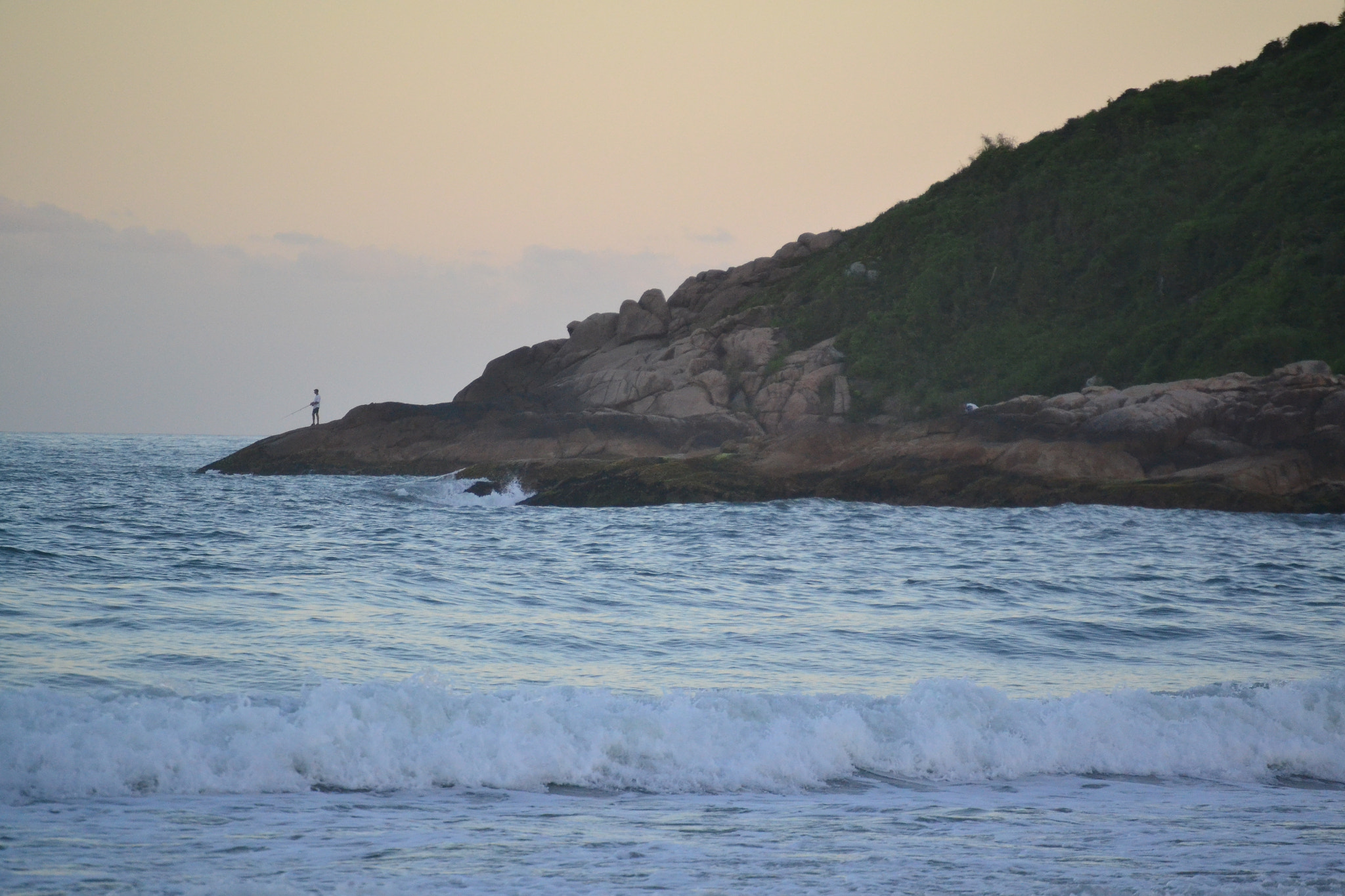 Nikon D3100 sample photo. 24376841539.jpg photography