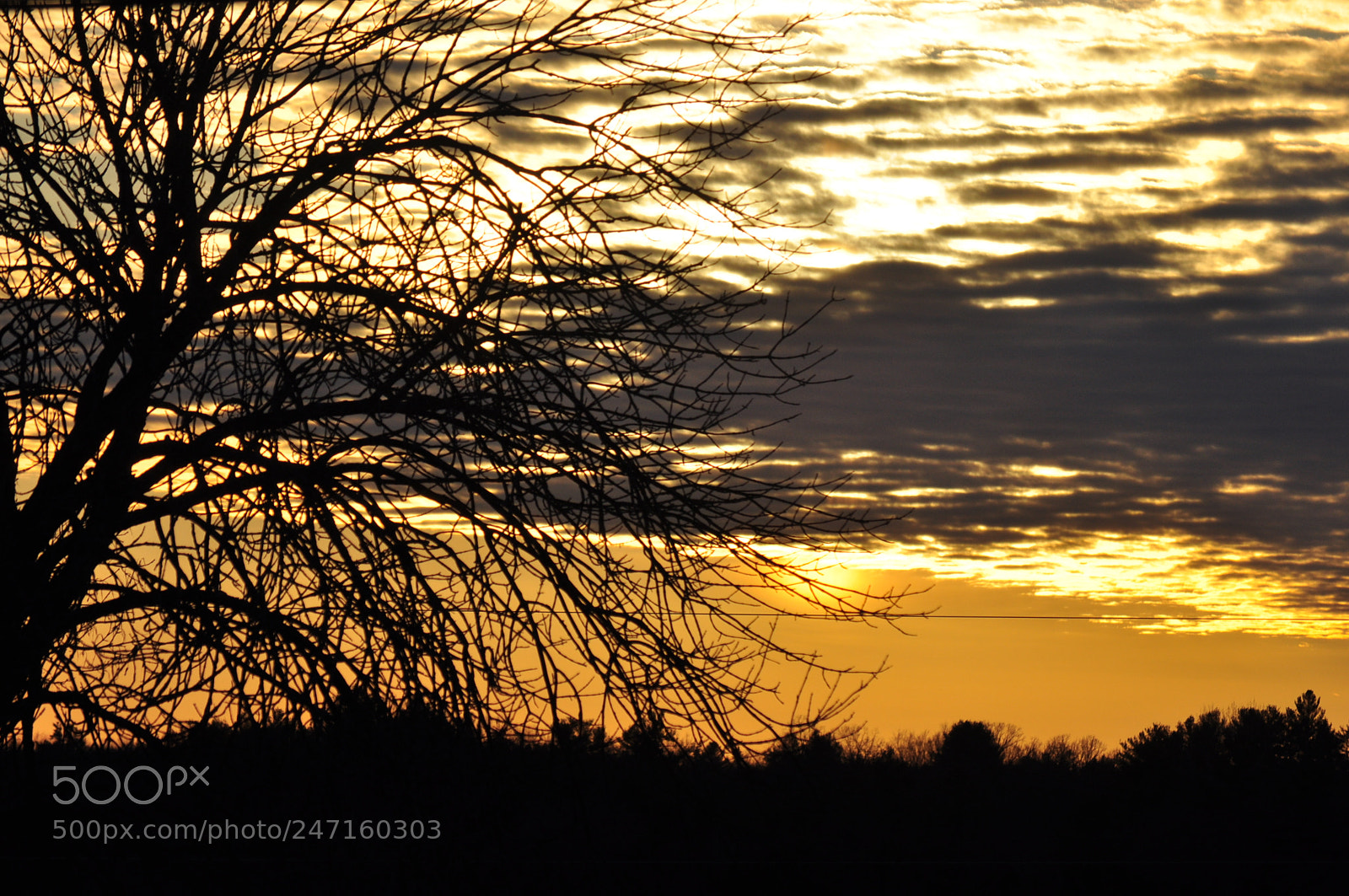 Nikon D5000 sample photo. Golden setting photography
