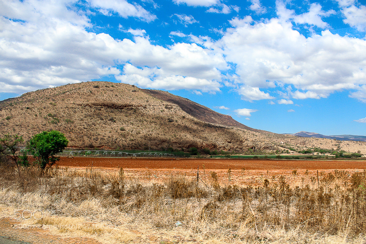 Canon EOS 600D (Rebel EOS T3i / EOS Kiss X5) sample photo. Southafrica photography