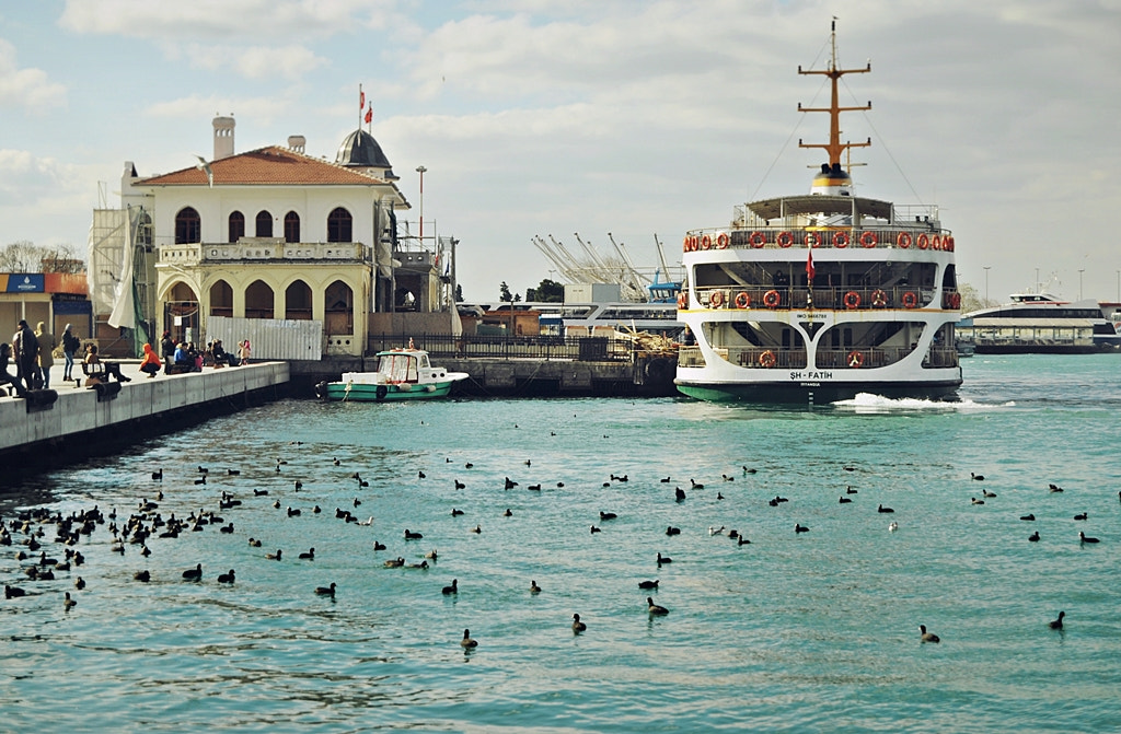 Nikon D5000 sample photo. İstanbul. in the capital of the world photography