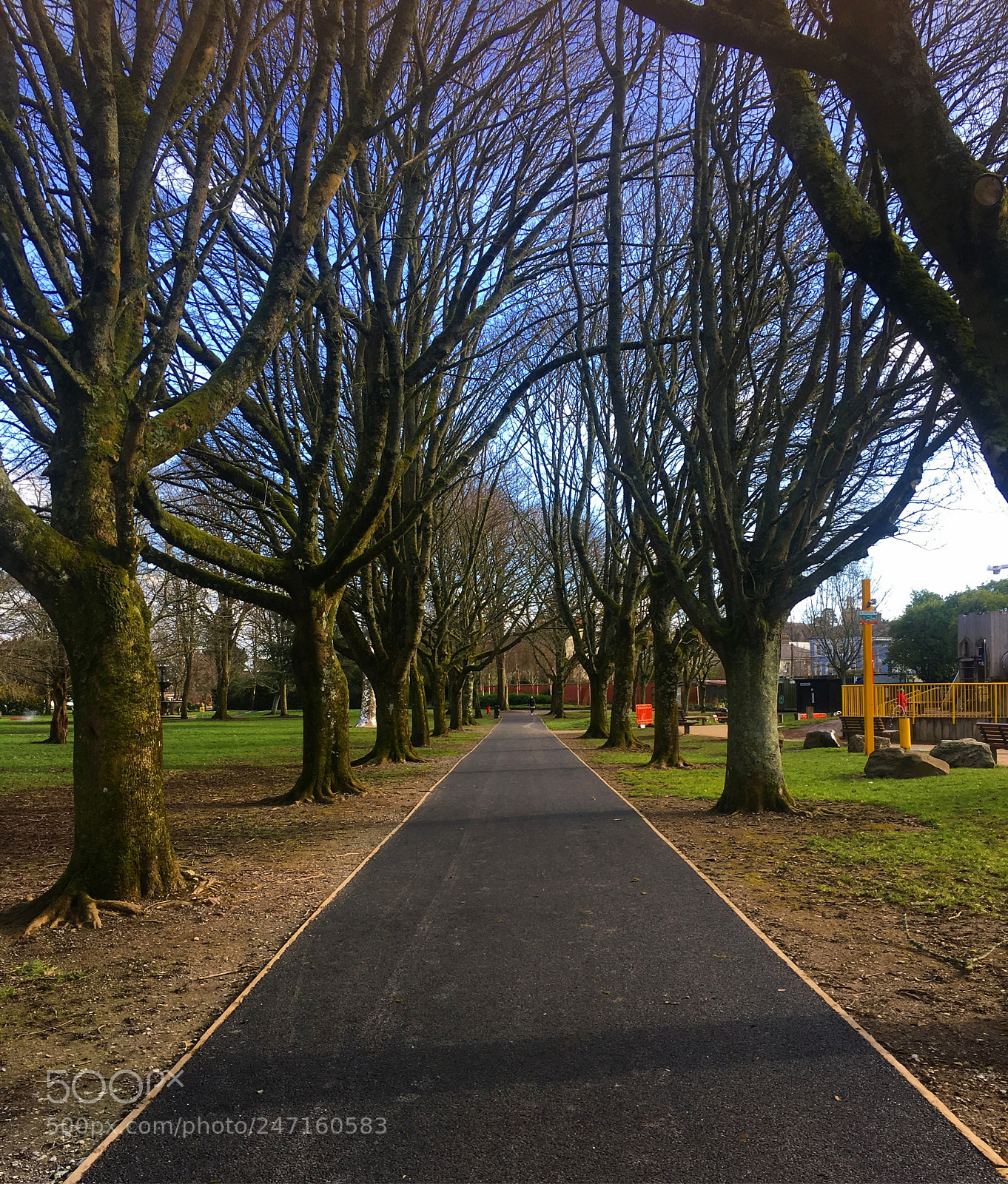 Apple iPhone 6s sample photo. Down the road photography